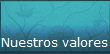 Nuestros valores